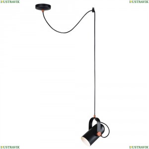 2007-1P Подвесной светильник Favourite (Фаворит), Ampolla Black
