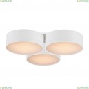 1515-6C Потолочный светильник Favourite, Cerchi