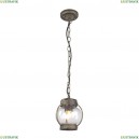 1498-1P Уличный подвесной светильник Favourite (Фаворит), Faro