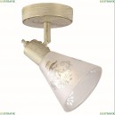 1794-1W Спот Favourite (Фаворит), Gumbata