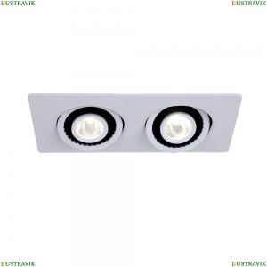 2417-2U Встраиваемый светодиодный светильник Favourite, Cardine