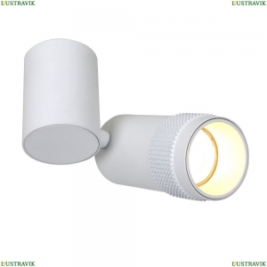 2453-1U Спот Favourite, Kinescope