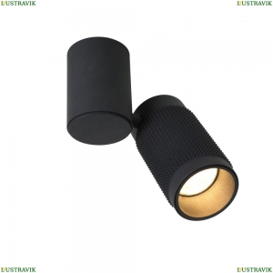 2452-1U Спот Favourite, Kinescope