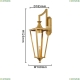 4003-1W Настенный светильник Favourite, Lampion