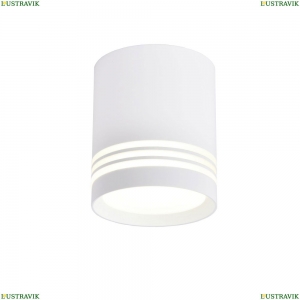 3065-1C Накладной светильник Favourite, Darar