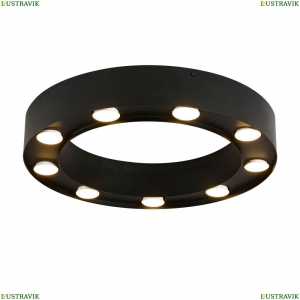 3007-9U Потолочная люстра Favourite, Attica