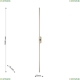 3002-3W Настенный светильник Favourite, Reed