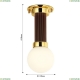 2954-1P Потолочный светильник Favourite, Sphere