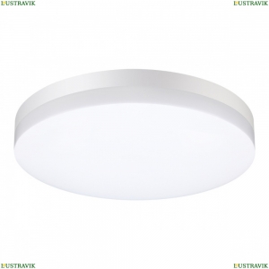 358889 Уличный настенно-потолочный светильник Novotech, Opal