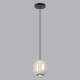 5053/1A Подвесной светильник Odeon Light, Pendant