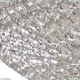 19321/55NZ/LED-DIM Ni Люстра хрустальная Bohemia Ivele Crystal