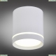 OML-102409-05 Накладной светодиодный светильник Omnilux, Capurso