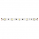 10162 5м. Светодиодная лента холодного цвета 6000К, 7,2W, 24V, 30LED, IP20 Maytoni, Led Strip