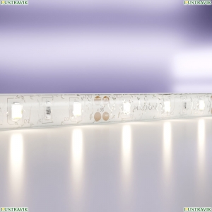 20005 5м. Светодиодная лента белого цвета 4000К, 7,2W, 12V, 60LED, IP20 Maytoni, Led Strip