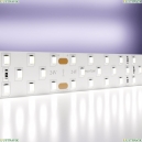 20033 5м. Светодиодная лента холодного цвета 6000К, 27W, 24V, 60LED, IP20 Maytoni, Led Strip