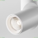 C027CL-L10W4K Потолочный светильник Technical, Dafne