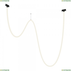 TR101-2-100W4K-B Трековый подвесной светильник Technical, Tau