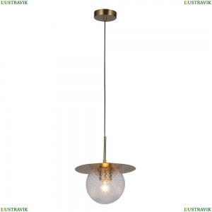 3049-1P Подвесной светильник F-Promo, Roshni