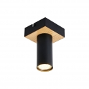 4431-1C Потолочный светильник F-Promo, Olson