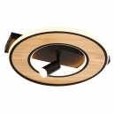 4438-2C Потолочный светильник F-Promo, Olika