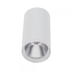 08570-10,01 Светильник Фабио белый