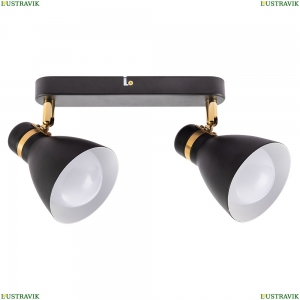 A5047PL-2BK Спот Arte Lamp, Fafnir