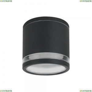 A1910PF-1BK Фасадный светильник Arte Lamp, Nunki