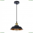 A7038SP-1BK Подвесной светильник Arte Lamp, Capello