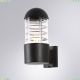 A5217AL-1BK Уличный настенный светильник Arte Lamp, Coppia