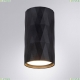 A5557PL-1BK Накладной светильник Arte Lamp, Fang