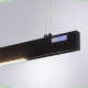 A2189SP-1BK Подвесной светильник Arte Lamp, Lao