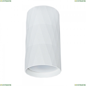 A5557PL-1WH Накладной светильник Arte Lamp, Fang