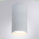 A5557PL-1WH Накладной светильник Arte Lamp, Fang
