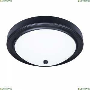 A4049PL-3BK Потолочный светильник Arte Lamp, James