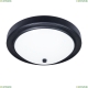 A4049PL-3BK Потолочный светильник Arte Lamp, James