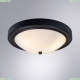 A4049PL-3BK Потолочный светильник Arte Lamp, James