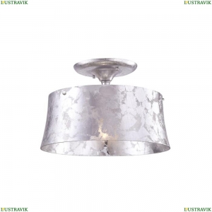A8932PL-1SA Потолочный светильник Arte Lamp, Conca