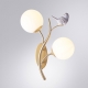 A9712AP-2SG Бра Arte lamp, Camomilla