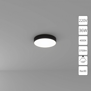 A6635PL-1BK Потолочный светильник Arte lamp, Fado