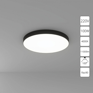 A6699PL-1BK Потолочный светильник Arte lamp, Fado