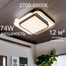 A2658PL-58GO Люстра потолочная Arte lamp, Albireo