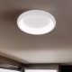 A2694PL-45WH Потолочный светильник Arte lamp, Menkib