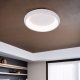 A2694PL-45WH Потолочный светильник Arte lamp, Menkib