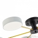 252006/6 Bk/Wh Светильник светодиодный Arte Milano