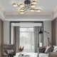277999/8 BK/GD Светильник Arte Milano