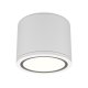 C095CL-GX53-W Потолочный светильник Technical, Rendo