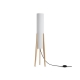 FR5543FL-01T Торшер Freya, Bliss