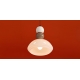 FR5628PL-01BGW1 Светильник подвесной Freya, Globo