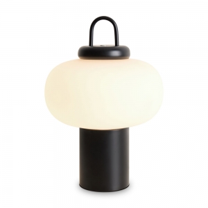 FR6175TL-L10B Настольная лампа светодиодная Freya, Take