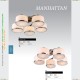 A9495PL-5AB Светильник потолочный ARTE LAMP MANHATTAN